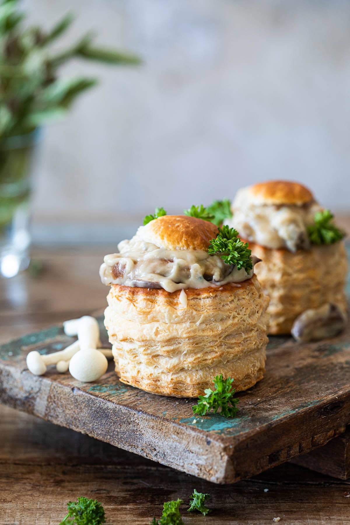 Paddenstoelenragout-1 Paddenstoelenragout