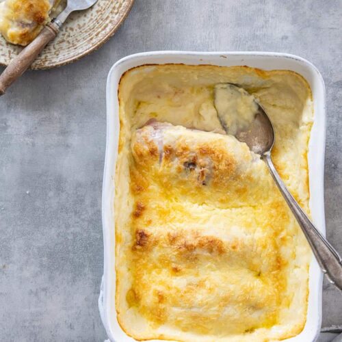 Fresh witlof met ham en kaas 3