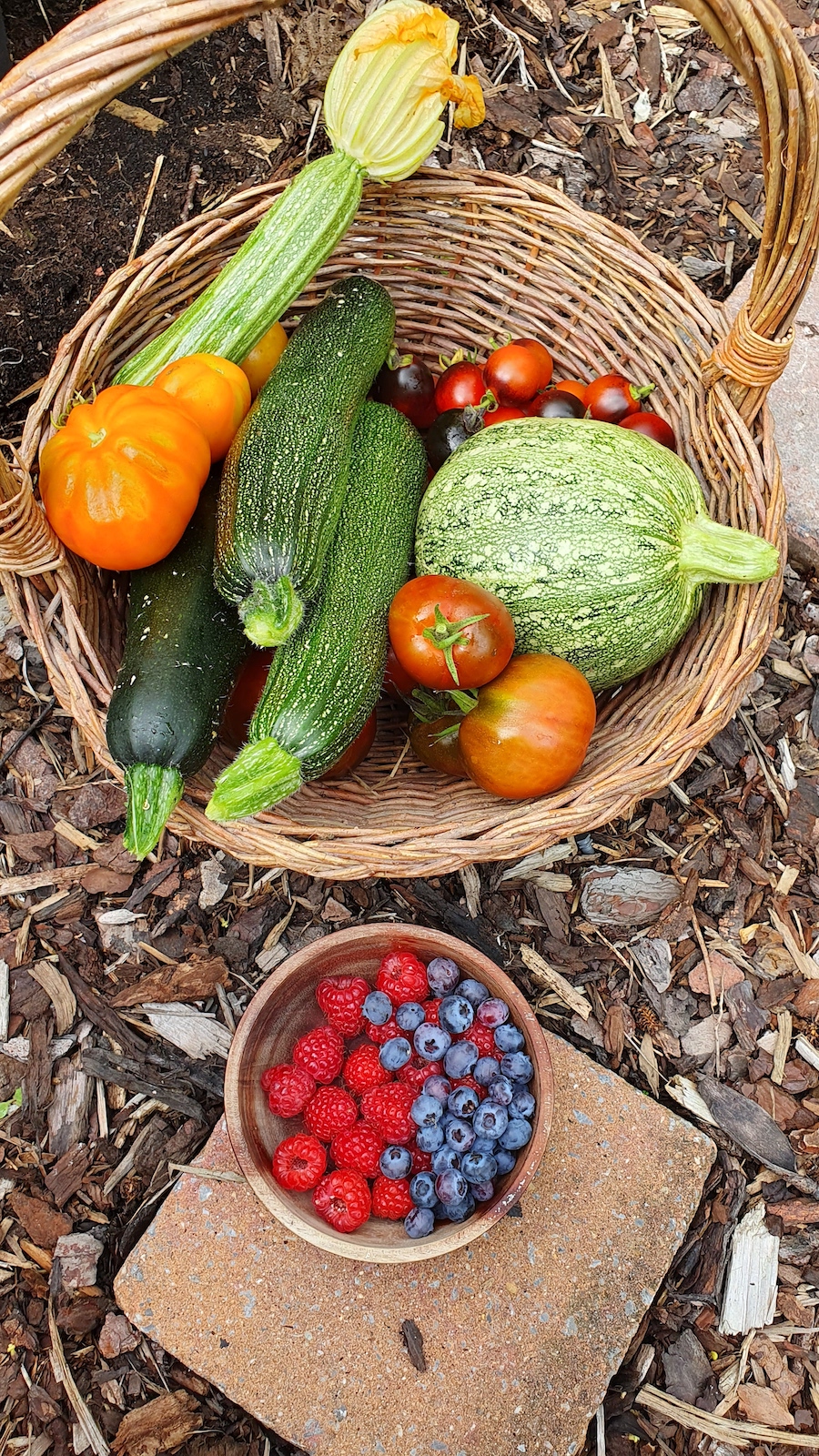 moestuin in september