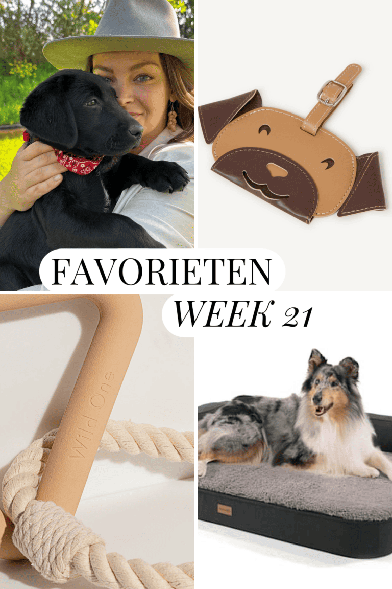 Favorieten Site Template (7)