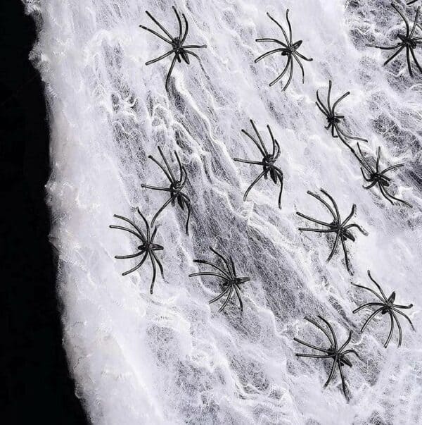 spinnenweb spinnenweb