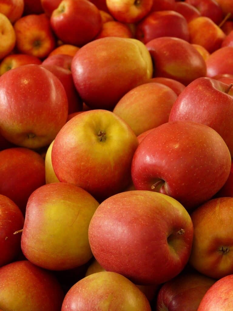 appel Image by Hans from Pixabay