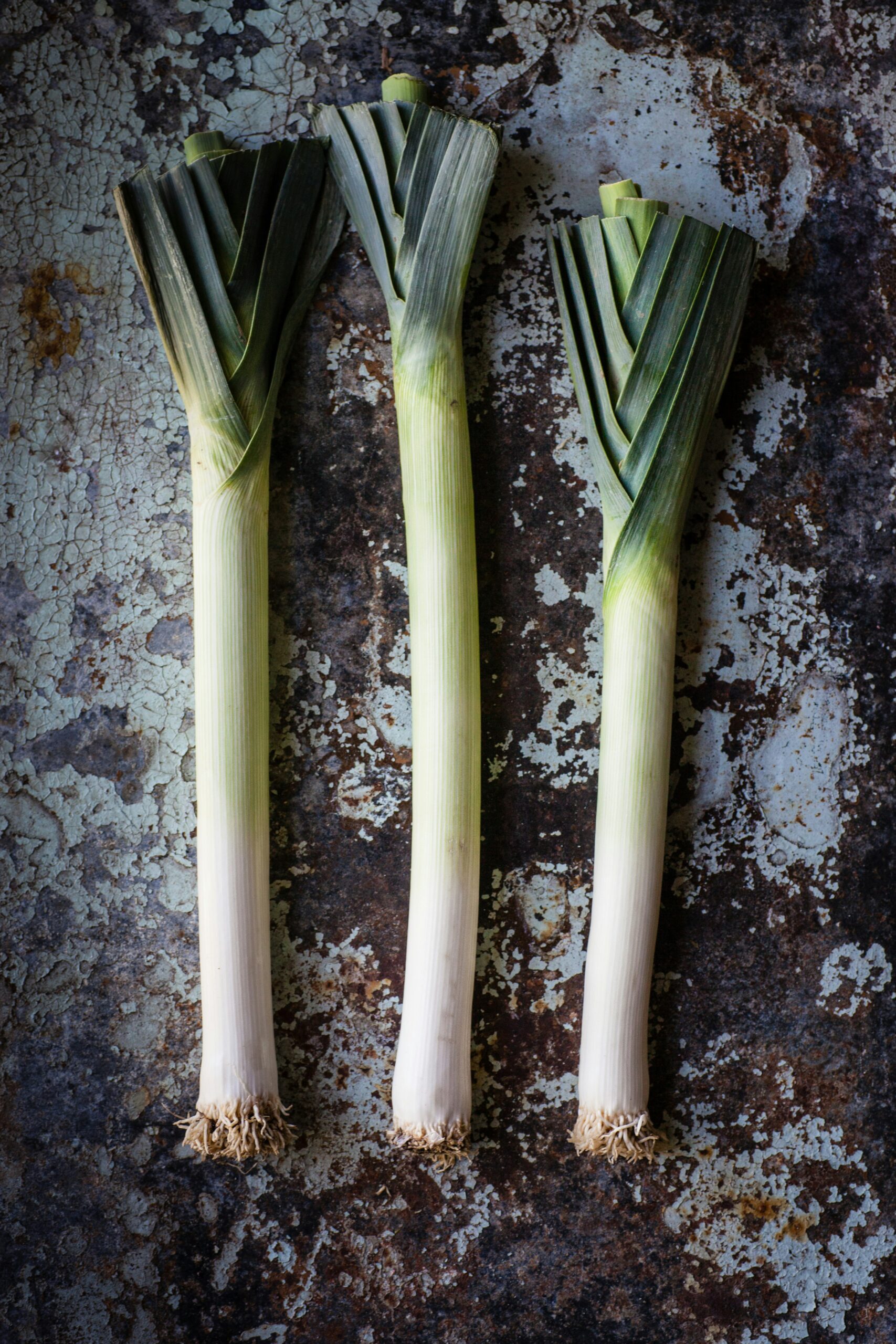 heather gill NyI6X3oj7mg unsplash heather gill NyI6X3oj7mg unsplash