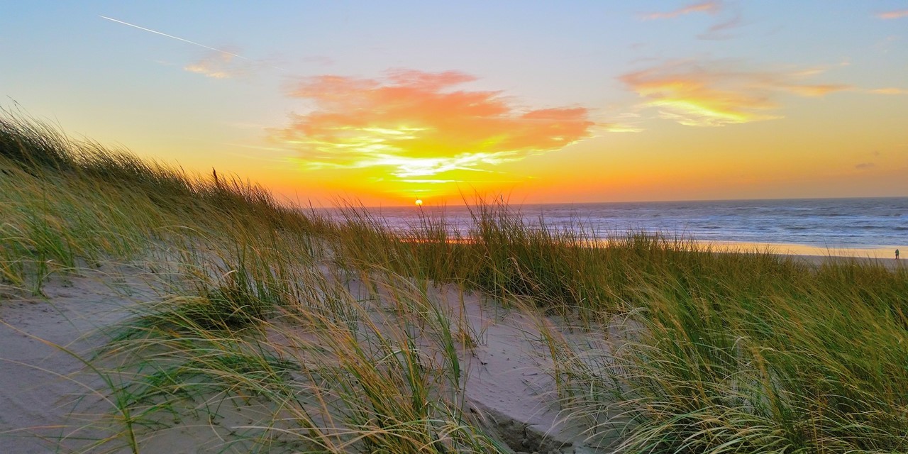 schoorlse duinen schoorlse duinen