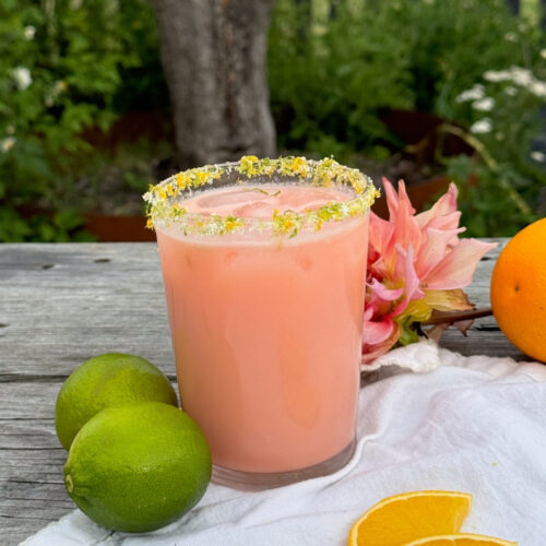 Aperol kokos margarita