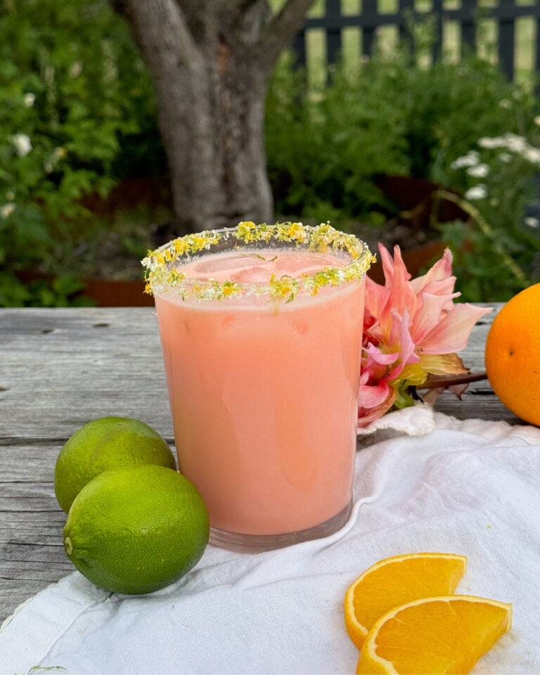 Aperol kokos margarita