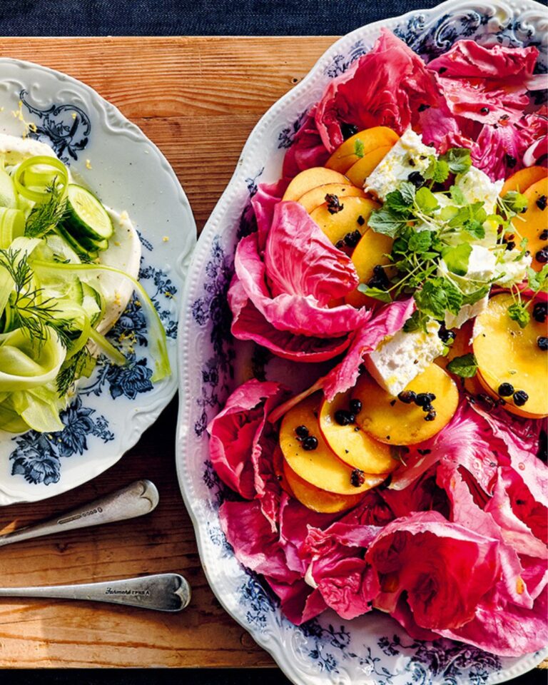 Radicchiosalade met ingelegde nectarine donna hay miljuschka recept